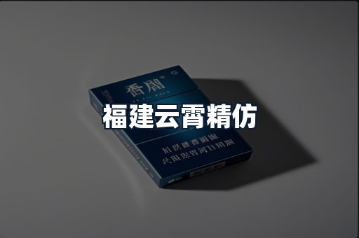 福建云霄精仿